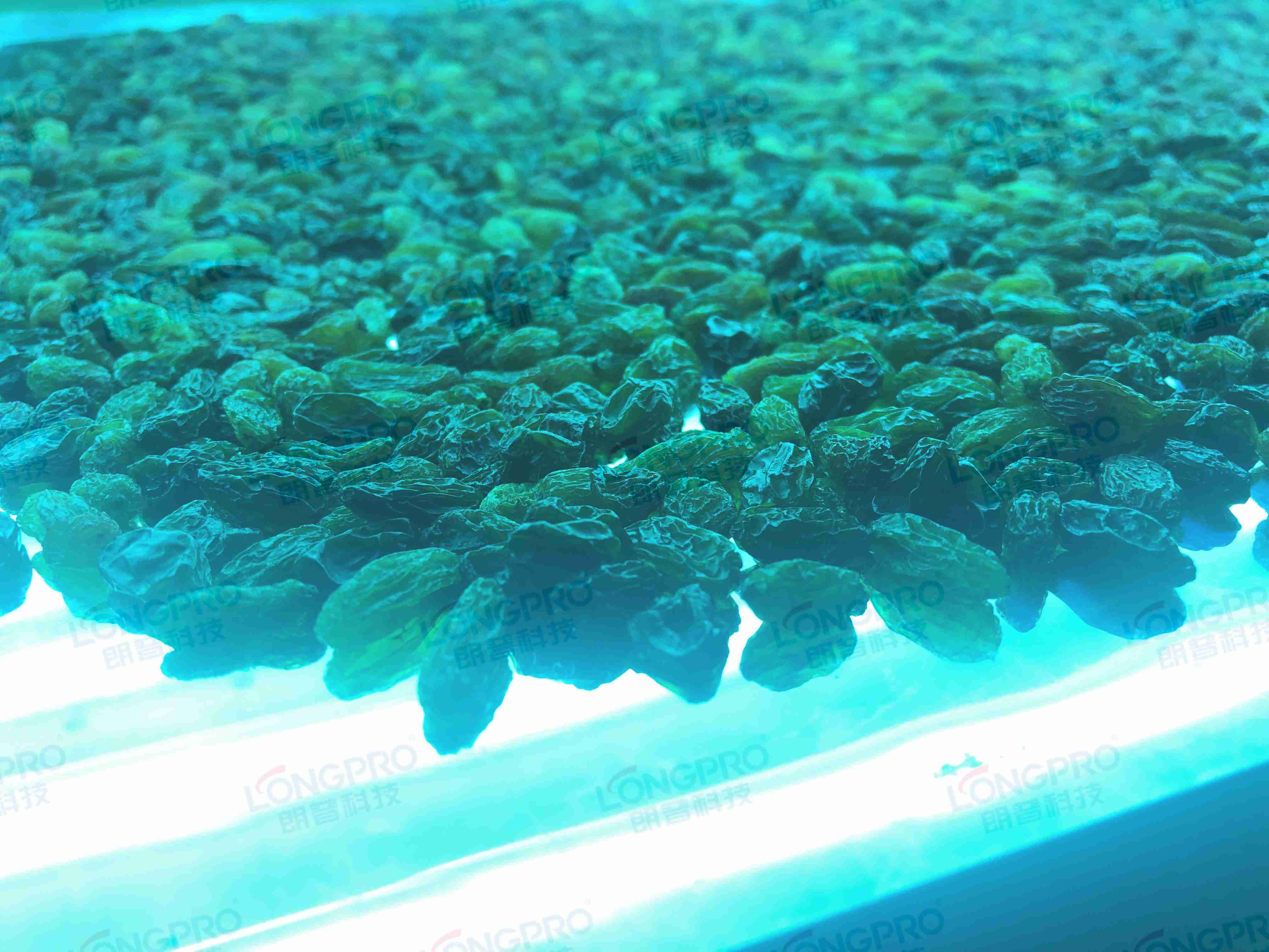 食品細(xì)菌超標(biāo)怎么解決？utf-8